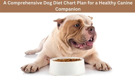 A Comprehensive Dog Diet Chart Plan for a Healthy Canine Companion | by ...