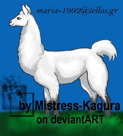 Aretousa Albino Llama By Mistress Kagura On Deviantart