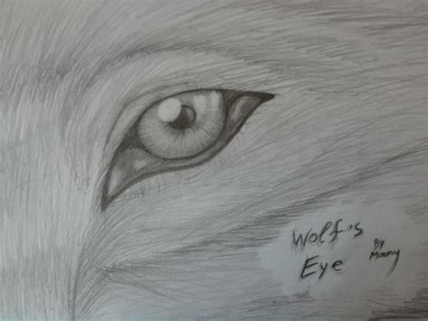 Wolf's eye drawing 2 by MoonyHellWolf on DeviantArt