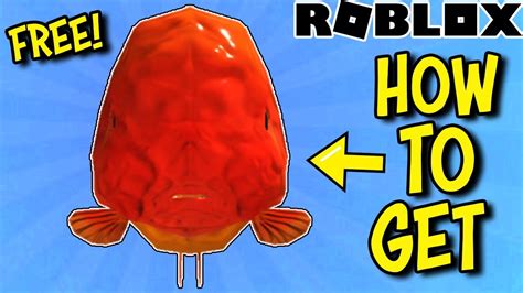 Free Item Get This Ranchu Goldfish Head On Roblox Free Now Youtube