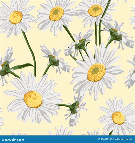 Seamless Pattern With Chamomile Camomile Flowers On Yellow Background