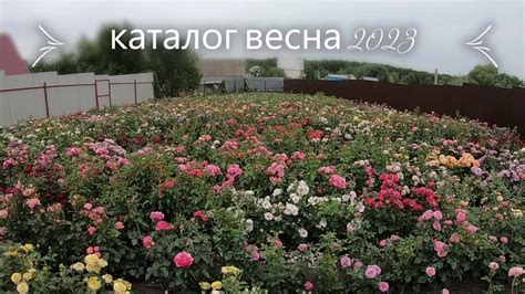 каталог на весну 2023 - YouTube