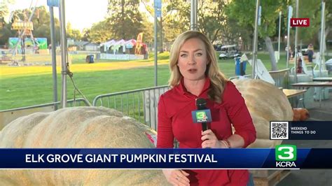 Elk Grove Giant Pumpkin Festival Youtube