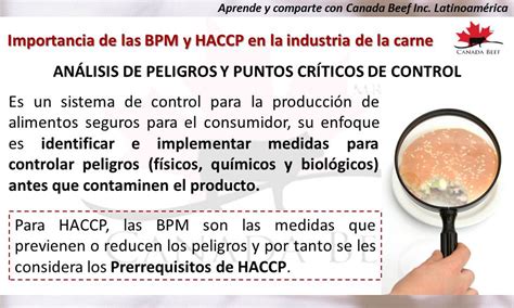 Importancia De Las BPM Y HACCP En La Industria De La Carne Canadian Beef