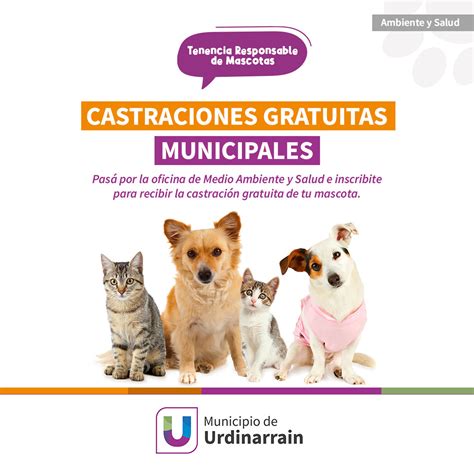 Contin An Las Castraciones Gratuita Para Caninos Y Felinos Municipio