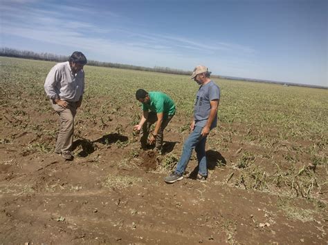 Valle de Uco el director de Contingencias Climáticas recorrió la zona