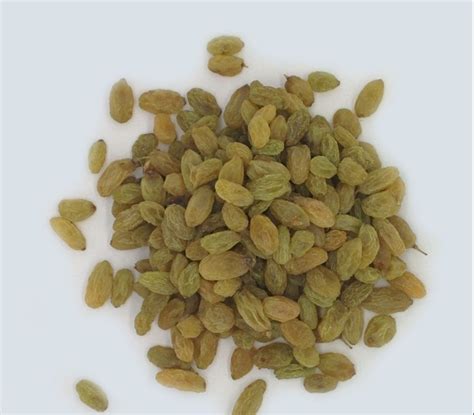 Golden Raisin Kishmish At Rs 250 Kg Dried Raisin In Delhi ID