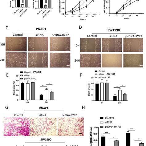 Res Inhibits Pancreatic Cancer Proliferation Migration And Invasion Download Scientific