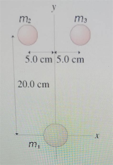 Solved In Take M M Kg What Is The Net Gravitational Chegg