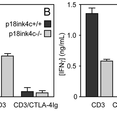 C Bl X Balb C F Mice Aged Weeks Were Subjected To Irradiation