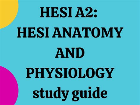 Hesi A Hesi Anatomy And Physiology Hesi A P Study Guide Etsy