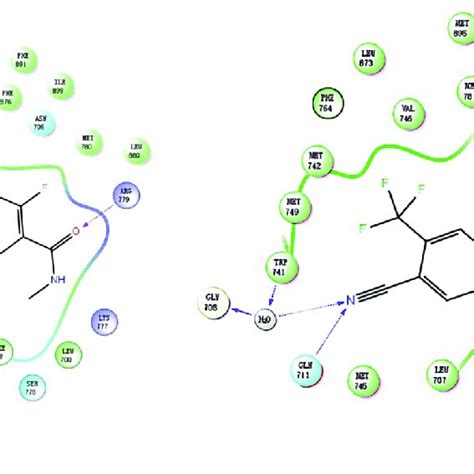 The Predicted Binding Modes And 2d Diagram Of A Compound 19b B