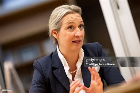 Alice Weidel , leader of the AfD parliamentary group, speaks to a dpa... News Photo - Getty Images