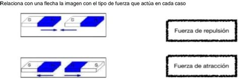 Solved Relaciona Con Una Flecha La Imagen Con El Tipo De Fuerza Que