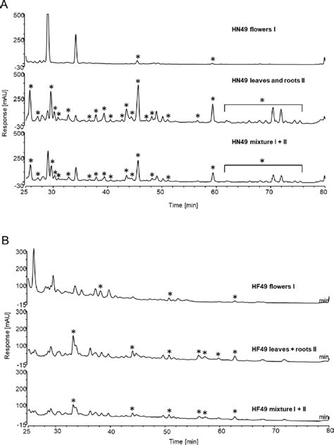 Hplc Dad Chromatograms Of A H Niger Hn49 Extracts And B H Foetidus Download Scientific