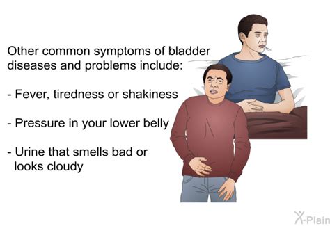 Bladder Diseases And Problems