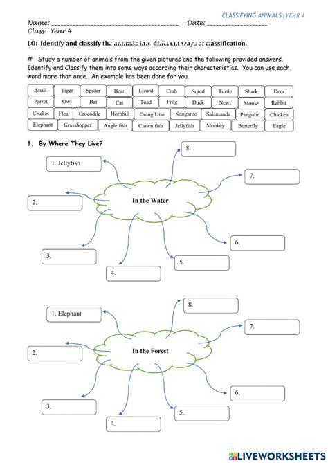 Classifying Animals 1240 Roseey Live Worksheets