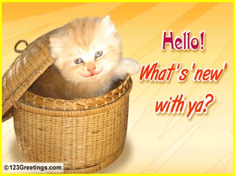 Whats New Free Hello Ecards Greeting Cards 123 Greetings