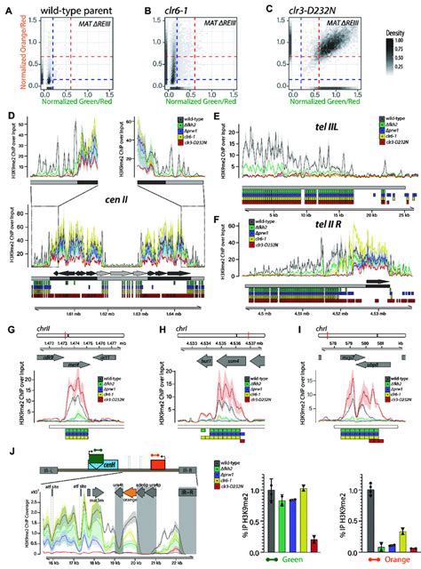 Fkh2 Containing Clr6 Complexes Regulate H3K9me2 Spreading At