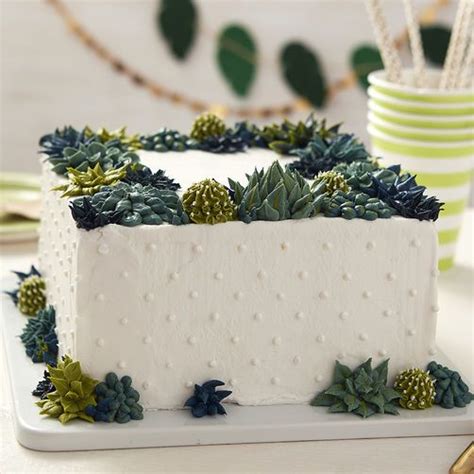 Square Succulent Cake Recipe Succulent Cake Creative Cake