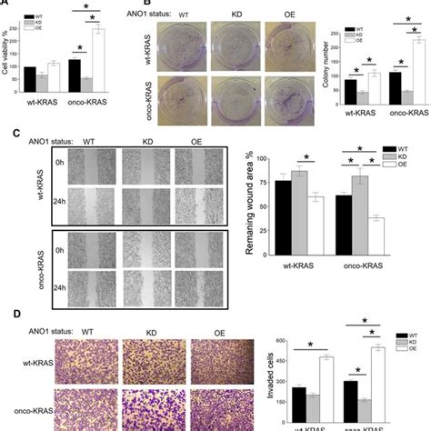 A Cell Viability Assay Of Bxpc Cells With Different Status Of Kras