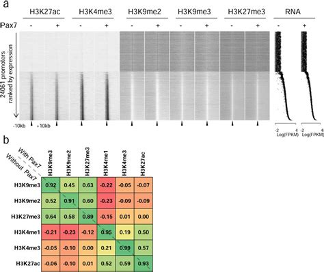 Validation Of Chromatin Mark Data Produced In This Study A Heatmaps