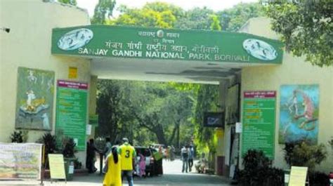 Sanjay Gandhi National Park Tourism (Thane) (2024 - 2025) - A Complete ...