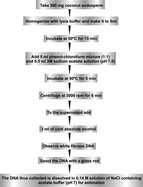 Lysis Buffer Recipe For Dna Extraction Blog Dandk