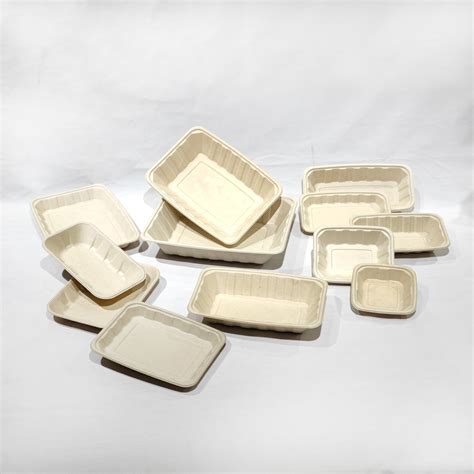 Wholesale Custom Biodegradable Supermarket Packaging Tray Disposable