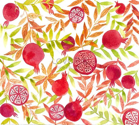 Watercolor pomegranate illustration image_picture free download ...