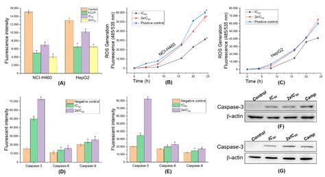 Molecules Free Full Text Anticancer Activity Of Novel Plant