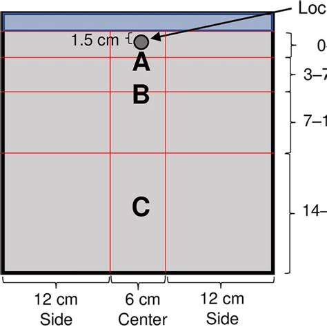 Schematic Representation Of The Root Box 30 Cm × 30 Cm × 3 Cm With