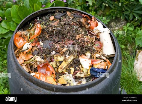 Worms Visible In Kitchen Waste In Top Of Black Plastic Recycled Stock