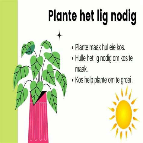 Graad 4 Natuurwetenskap Wat Plante Nodig Het Om Te Groei Powerpoint En