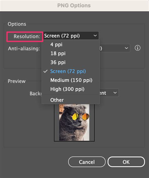 How to Change Resolution (DPI/PPI) in Adobe Illustrator