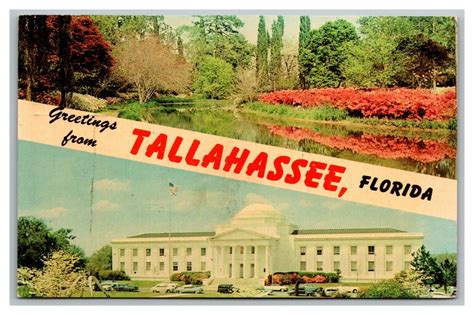 Vintage 1966 Postcard Greetings From Tallahassee Florida State Capitol United States