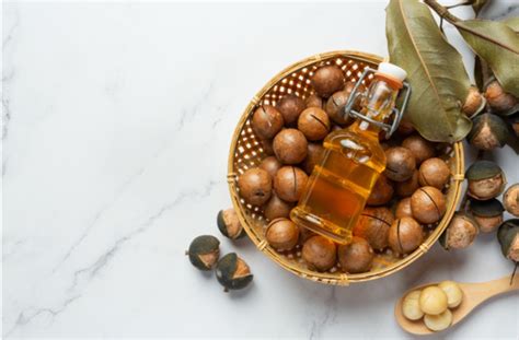 Lhuile De Macadamia Et Ses Bienfaits Pour Votre Visage