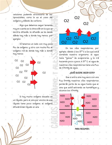 Solution Difusi N Gaseosa Y Presiones Parciales De Gases Fisiolog A