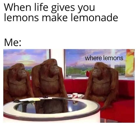 The Best Lemonade Memes Memedroid