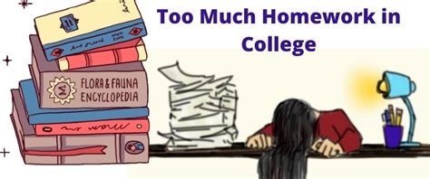 Too Much Homework College