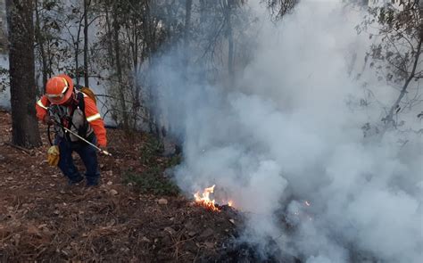 Incendios Forestales Jalisco El 2023 Año Más Complicados En Combate