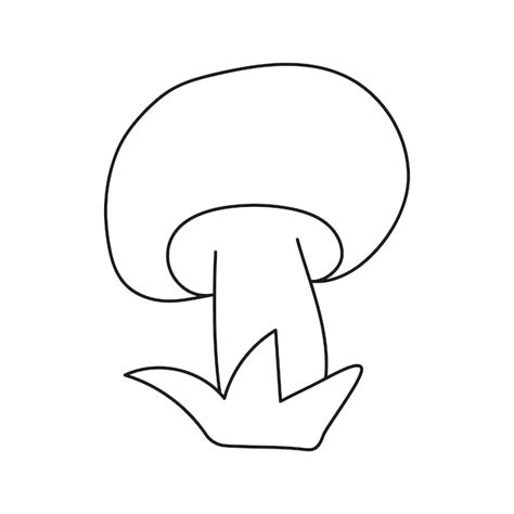 Premium Vector Mushroom Vector Illustration In Doodle Style