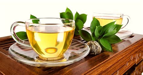 White Tea Drink | Healthy-drinks.org