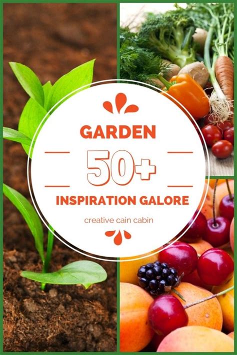 120 best images about GARDENING | LANDSCAPE IDEAS on Pinterest ...