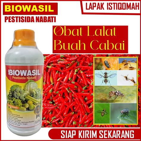 Jual Pupuk Organik Tanaman Cabe Terbaik Anti Lalat Buah Pada Cabe