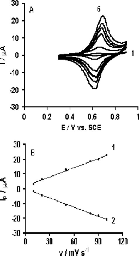 A Cyclic Voltammograms Of The Ket Hcf Electrode With A 01 M Phosphate Download Scientific