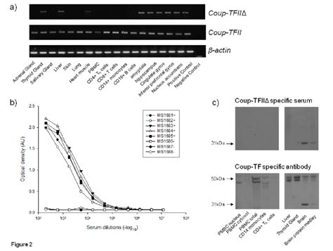 Coup Tfii And Ii∆ Have Isoform Specific Expression Patterns A Tissue