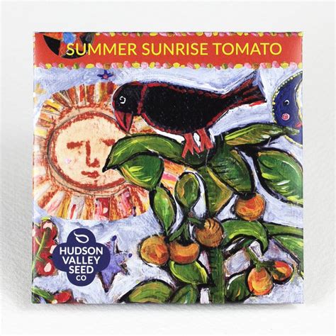 Summer Sunrise Tomato Organic Seeds Hudson Valley Seed Company