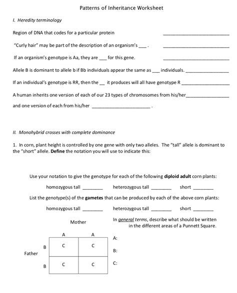 solved patterns  inheritance worksheet  heredity cheggcom