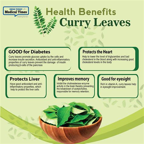 Health Benefits Of Curry Leaves Curry Leaves Or Kadi Patta Are Popular